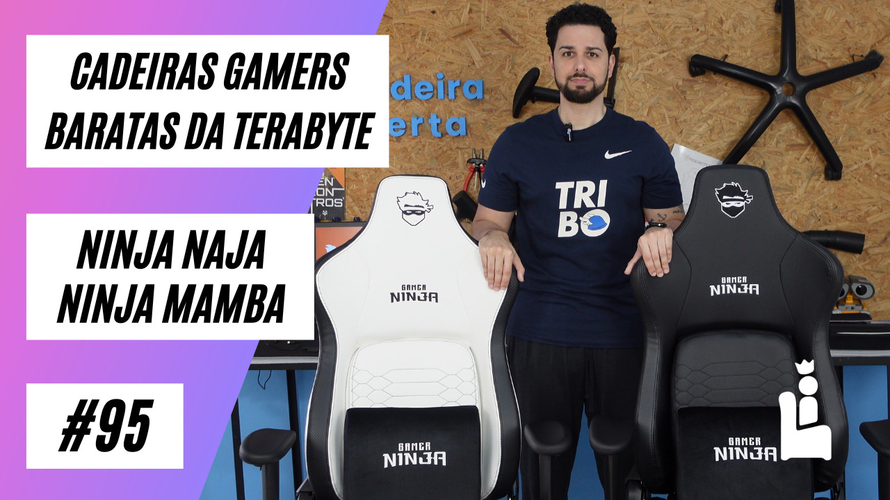 Cadeira Gamer (Terabyte) Ninja Mamba