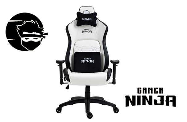 Cadeira Gamer (Terabyte) Ninja Naja